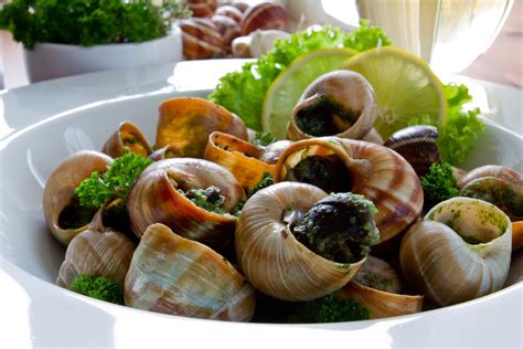 Folgende 45 einträge sind in dieser kategorie, von 45 insgesamt. Schnecken - In Spanien eine Delikatesse