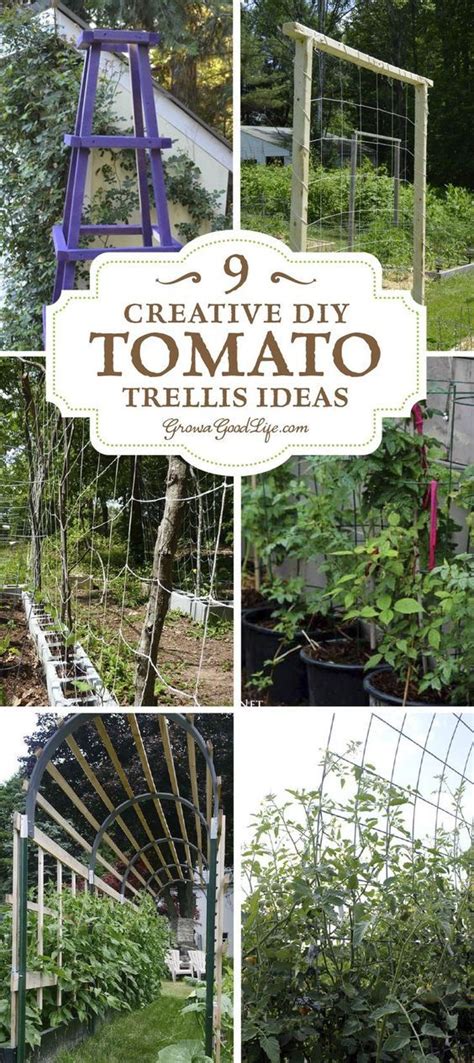 9 Creative Diy Tomato Trellis Ideas Tomato Trellis Tomato Plants