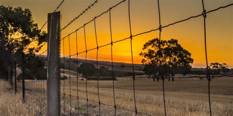 Sunset And Boundary Fence Australian Landscapes Peter Franz Photography