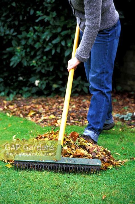 Woman Sweeping Leave Stock Photo By Howard Rice Image 0519881
