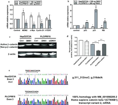 DKK1 Induces Opposite Effects On The Wnt Beta Catenin Pathway And On
