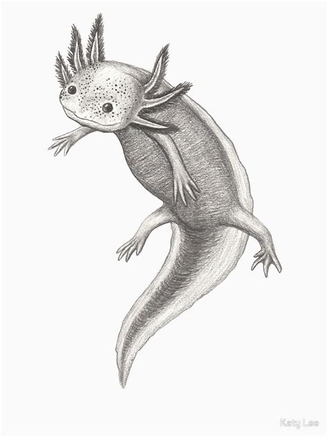 How to draw a walking fish. 'Floating Axolotl' T-Shirt by Katy Lee | Mythical ...