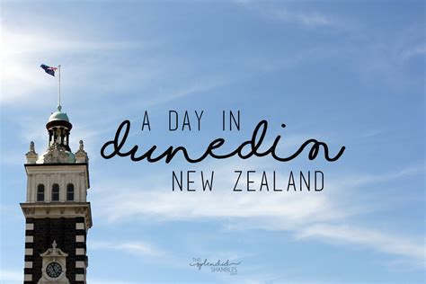 Spending A Day In Dunedin New Zealand - This Splendid Shambles