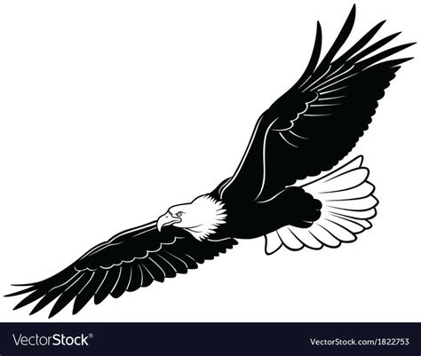 Flying Bald Eagle Black Outline Illustration Download A Free Preview