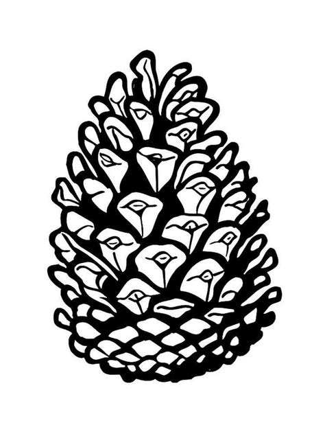 Pine Cone Coloring Pages