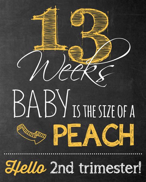 Weekly Pregnancy Chalkboard Sign Week 8 40 Package Deal 33 Etsy