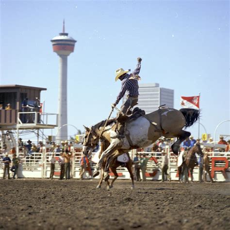 Stampede2 user guide last update: What is the Calgary Stampede? (with video) - The Immigrant Education Society - TIES