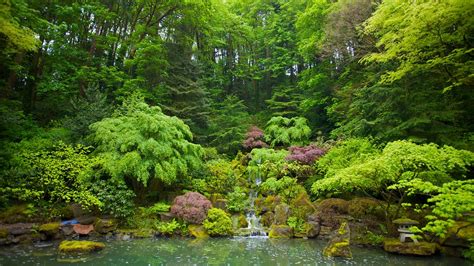 Imagen Web Jardín Japonés De Portland Portland Y Alrededores Tourism