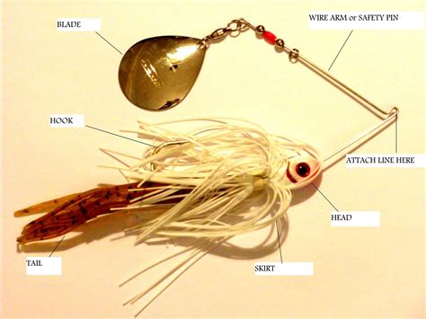 Spinner Baits Fishing Basics Fishing Lures And Fishing Maps