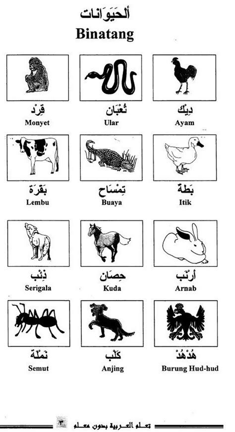 Malam jumat dalam bahasa arab adalah. نحو فهم أفضل للغة العربية: TIPS BELAJAR BAHASA ARAB