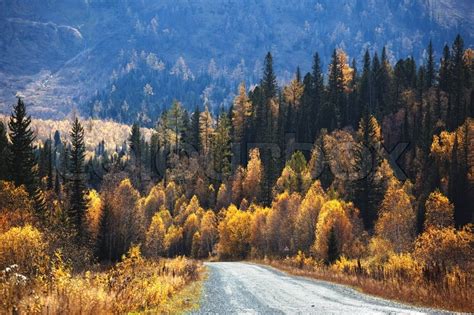 Old Country Road In Autumn Mountain Forest Altai Mountains Kazakhstan