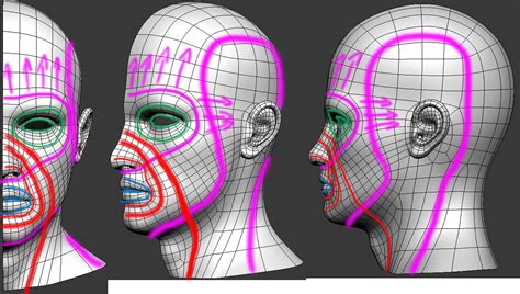 face topology topology d modeling tutorial my xxx hot girl