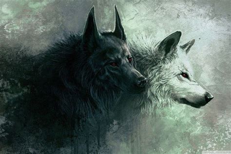 Cool Wolf Backgrounds ·① Wallpapertag