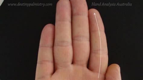 Curved Index Finger Meaning In Palmistry Destiny Palmistry