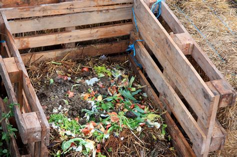 Cómo Hacer Compost En Casa Ecosiglos