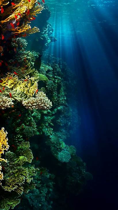 Underwater Ocean Wallpapers Sea Under Water S8