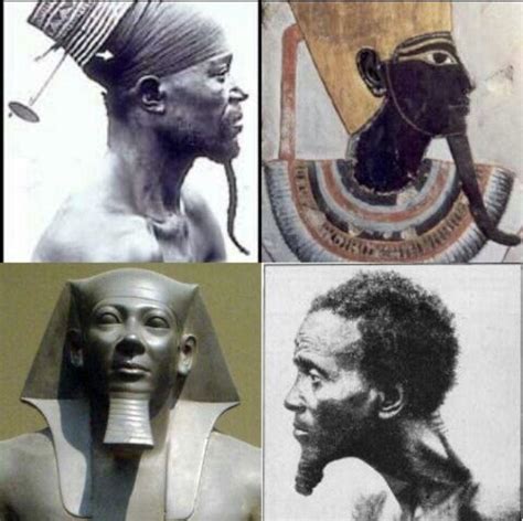 Ancient Egyptians Were Blacks Kemet History African History Books