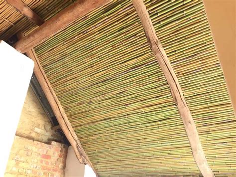 Bamboo Ceiling At Diamant Estate Paarl Thatchscapes