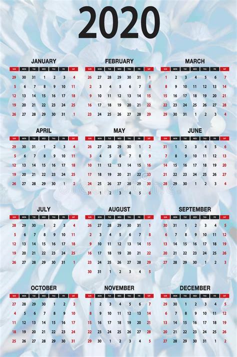 2020 One Page Calendar Black Letters Numbers Blue Dahalia Background
