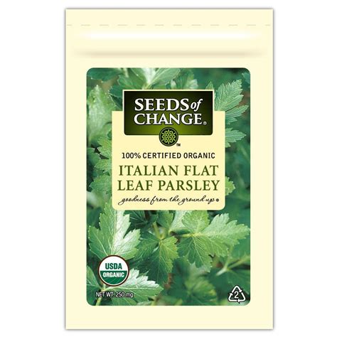 Seeds Of Change Parsley Italian Flat Leaf 1 Pack 01360 The Home Depot