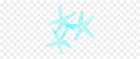 Coral And Turquoise Starfish Clip Art Starfish Clipart Flyclipart