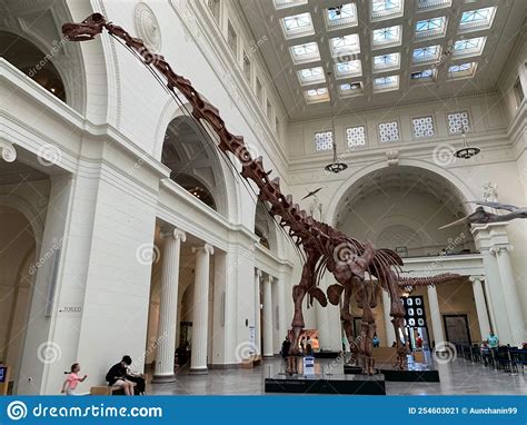 Chicagousa August 242022 The Main Hall Of The Field Museum With