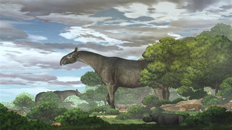 16ft Tall Rhino That Lived 265million Years Ago Could Be Largest Ever