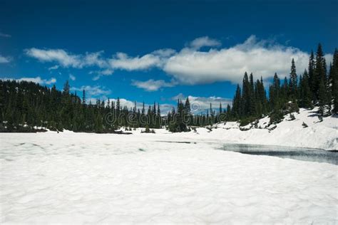 Snow Covered Reflection Lake In Mount Rainier National Park Stock Image