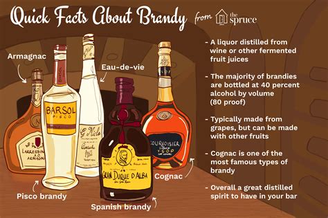 brandy 101 characteristics of a timeless liquor 2022