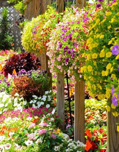 1267 Best Dream Gardens Images On Pinterest 34 Beds Arbors And
