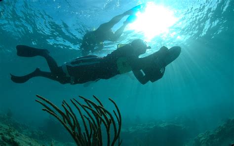 Power Snorkel Adventure Amber Cove Dominican Republic Shore