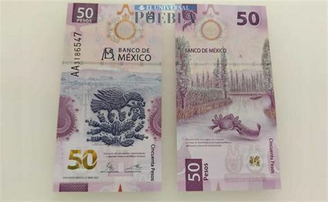 Cuáles son las cinco versiones del billete de pesos del ajolote El