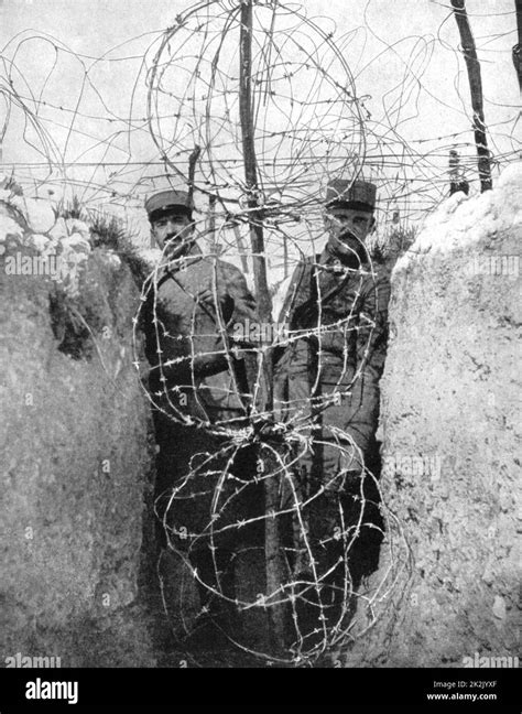 World War I 1914 1918 Barbed Wire Entaglements Protecting French