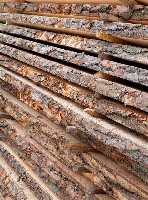 Wooden Planks Air Drying Timber Stack Stock Image Image Of Lumber