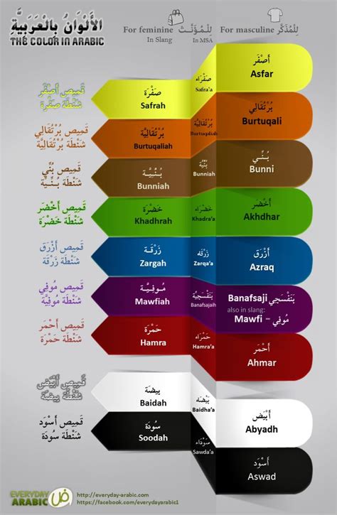 Names Of Color In Standard Arabic And Dialect Visually Arabic