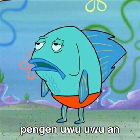 61 Meme Spongebob Lucu Stiker Patrick
