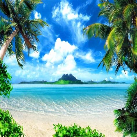 Tropical Beach Backdrop Computer Printed Photography Etsy