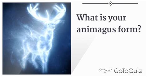 What Is Your Animagus Form