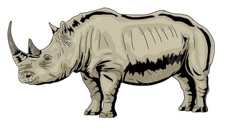 Rhino Side View Illustration Rhino Rhinoceros Animal Png Transparent