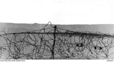 Barbed Wire Entanglement Constructed By Australian Troops At The
