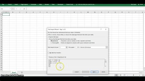 Example products include software simulations and. open text file in microsoft excel - YouTube