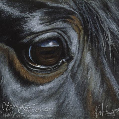 Horse Eye Painting At Explore Collection Of Horse
