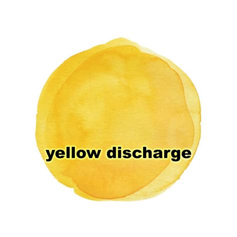 Yellow Discharge Causes Types Anatomy Images