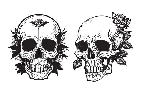Skull With Rose Flower Black Outline Vector Human Skull With Rose Sketch Drawing Tattoo Vector