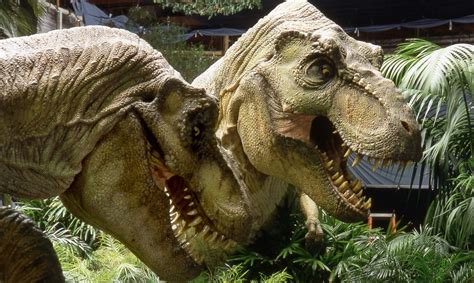 Jurassic park iii and the novels discussed the fact that they weren't actual dinosaurs — just abominations of nature with genetic material from there's also the fact that, even though jurassic park sounds cool, the most emblematic dinosaurs of the franchise (the tyrannosaurus rex, the. THE LOST WORLD JURASSIC PARK 2 T-Rex Attack | Stan Winston ...