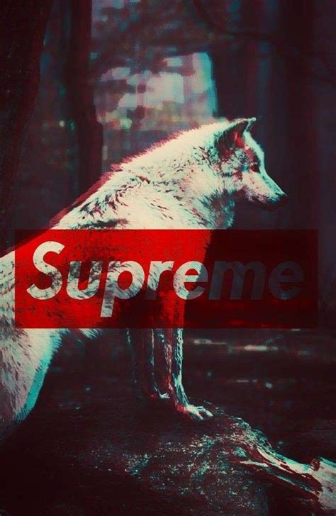 Please contact us if you want to publish a dope supreme wallpaper on our site. Pin by Eloise on 提供图（原图） | Supreme wallpaper, Supreme iphone wallpaper, Glitch wallpaper