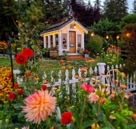 My Cottage Garden Year In Review Shiplap And Shells