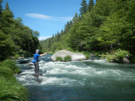She caught the largest one we've ever got on this str. Northern California Southern Oregon Fishing Report | Wild ...