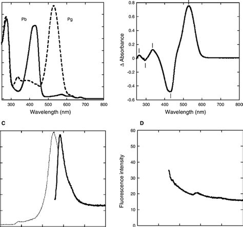 Absorption Spectra And Fluorescence Spectra Of Affinity Purified
