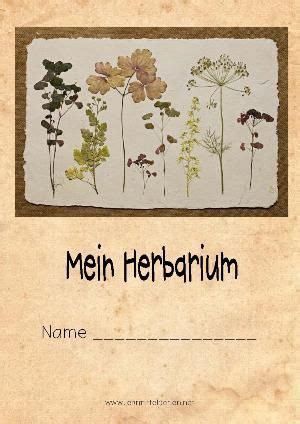 February 18th, 2020 | steckbrief vorlage | by frances carter. Bildergebnis für herbarium deckblatt | Herbarium vorlage ...